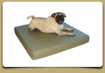 Small dog mattress